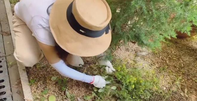 房子家里全是破烂却是无数人理想中的家！mg不朽情缘游戏平台43岁女演员独居老(图12)